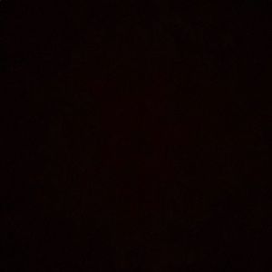 Meet your Posher, Audrie